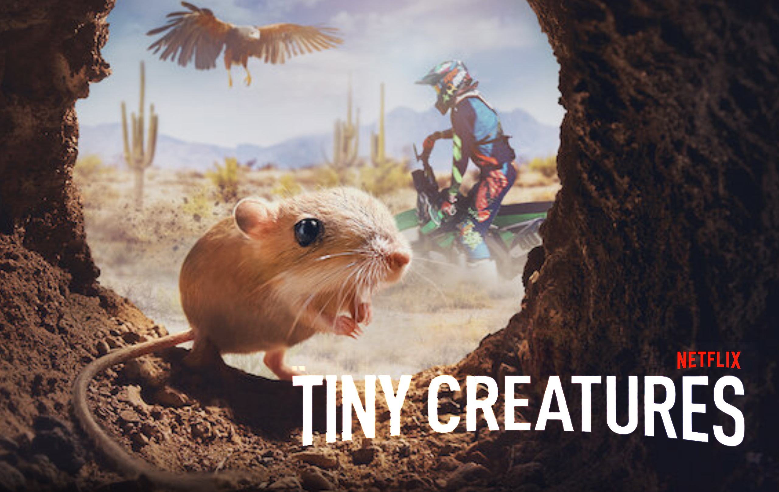 TinyCreatures